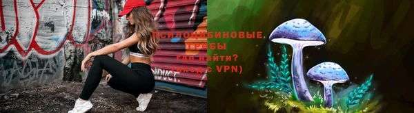 амф Няндома