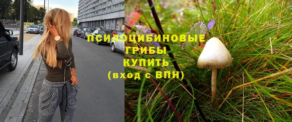 a pvp Осинники