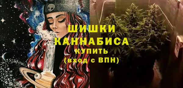 амф Няндома