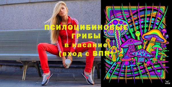 a pvp Осинники