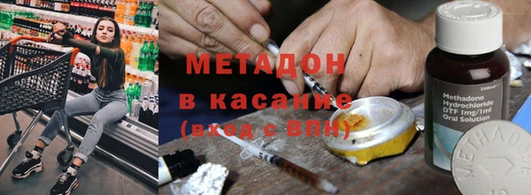 сатива Новокубанск