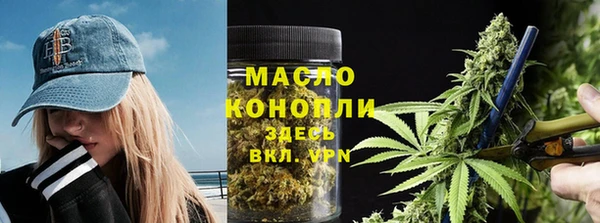 молекула духа Саяногорск