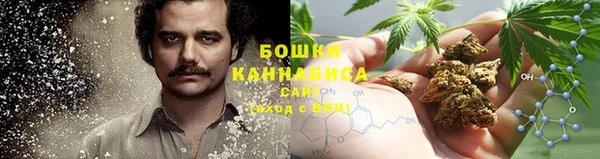 a pvp Осинники