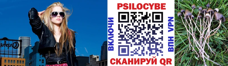 Галлюциногенные грибы мицелий Рыбное